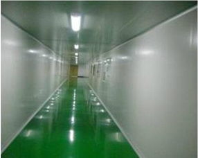 供应广东食品加工厂车间净化工程高清大图与密封胶应用解析